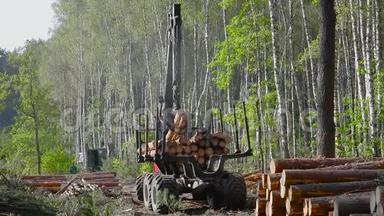 木材装载，将原木装入卡车，木材加工，砍伐森林，用爪装载木材